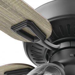 New 🎉 Patriot Lighting™ Madeline 52" Matte Black Indoor LED Ceiling Fan 🌟 -Patriot Lighting Sales 20768 3550111 Bladeiron CloseUp