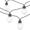 New 👍 Patriot Lighting® 39' 8" 40-Light Clear Globe LED String Light 👏 -Patriot Lighting Sales 2775490