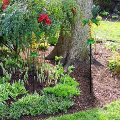 Deals ✨ Patriot Lighting® Solar Integrated LED Palm Tree Landscape Light ✔️ -Patriot Lighting Sales 343 4418 P SC