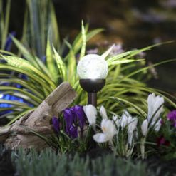 Best Pirce ✔️ Patriot Lighting® Solar Integrated LED Mini Bronze Crackle Landscape Light ✔️ 8 Best Pirce ✔️ Patriot Lighting® Solar Integrated LED Mini Bronze Crackle Landscape Light ✔️ -Patriot Lighting Sales 3431481 P SC LIT2