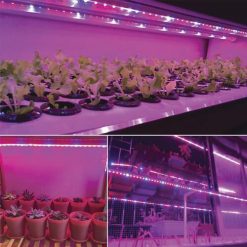 Cheap 🛒 Patriot Lighting® 12' LED Grow Tape Light ⌛ -Patriot Lighting Sales 346 0603 12LEDGrowTapeLight P in use 3copy