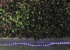 Flash Sale ✔️ Patriot Lighting® Solar Integrated LED Rope Light 🎁 -Patriot Lighting Sales 346 2009 1