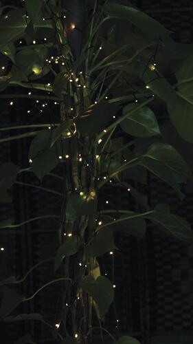 Outlet ❤️ Patriot Lighting® 52' 5-1/2" 150-Light Solar Powered Mini LED String Light 🥰 3 Outlet ❤️ Patriot Lighting® 52' 5-1/2" 150-Light Solar Powered Mini LED String Light 🥰