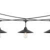 Coupon ✨ Patriot Lighting® 24’ 12-Light Ivy String Light 🤩 -Patriot Lighting Sales 3462129 MASTER