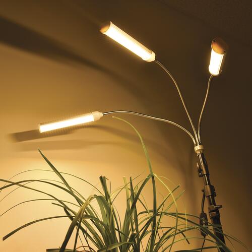 Cheap 👍 Patriot Lighting® Tripod 3 Light LED Grow Light 🔥 8 Cheap 👍 Patriot Lighting® Tripod 3 Light LED Grow Light 🔥 - Image 6