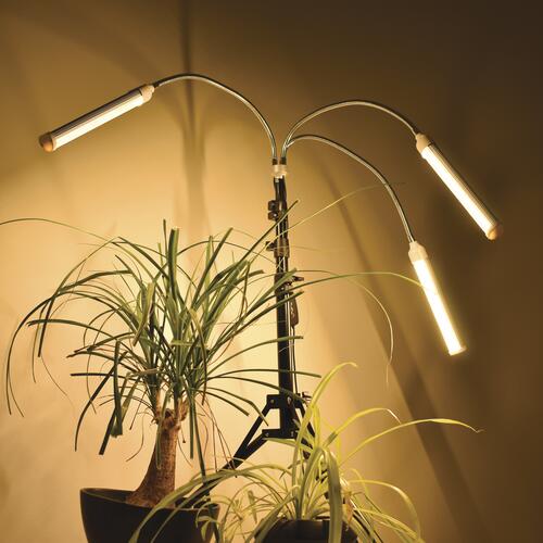 Cheap 👍 Patriot Lighting® Tripod 3 Light LED Grow Light 🔥 9 Cheap 👍 Patriot Lighting® Tripod 3 Light LED Grow Light 🔥 - Image 7