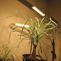 Cheap 👍 Patriot Lighting® Tripod 3 Light LED Grow Light 🔥 24 Cheap 👍 Patriot Lighting® Tripod 3 Light LED Grow Light 🔥 -Patriot Lighting Sales 347 0900 GT FL 3GL SC4