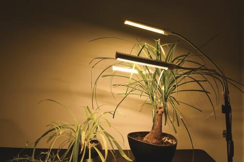 Cheap 👍 Patriot Lighting® Tripod 3 Light LED Grow Light 🔥 12 Cheap 👍 Patriot Lighting® Tripod 3 Light LED Grow Light 🔥 - Image 10