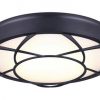 Coupon ✔️ Patriot Lighting® Evie Matte Black Integrated LED Flush Mount Ceiling Light 🥰 1 Coupon ✔️ Patriot Lighting® Evie Matte Black Integrated LED Flush Mount Ceiling Light 🥰 -Patriot Lighting Sales 3482149 P