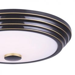 Hot Sale 🌟 Patriot Lighting® Lyra Rubbed Bronze Integrated LED Flush Mount Ceiling Light ⌛ -Patriot Lighting Sales 3482152 P detail
