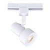 Wholesale ✔️ Patriot Lighting® Step 1-Light White LED Track Lighting Head 👏 -Patriot Lighting Sales 349 0526 P