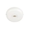 Coupon 🤩 Patriot Lighting® White Monopoint Power Feeder 🌟 2 Coupon 🤩 Patriot Lighting® White Monopoint Power Feeder 🌟 -Patriot Lighting Sales 3497090 Master