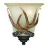 Best Sale 🛒 Patriot Lighting® Antler 1-Light Black Walnut Indoor Wall Light 🎉 -Patriot Lighting Sales 351 5037 P