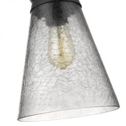 Brand new 🧨 Patriot Lighting® Abelia Black 1-Light Pendant ❤️ -Patriot Lighting Sales 3518666 P ALT2