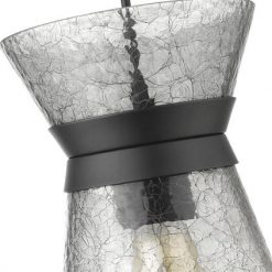 Brand new 🧨 Patriot Lighting® Abelia Black 1-Light Pendant ❤️ -Patriot Lighting Sales 3518666 P ALT3