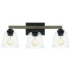 Outlet 💯 Patriot Lighting® Danae Matte Black 3-Light Vanity Light 💯 -Patriot Lighting Sales 3518732 MasterV1