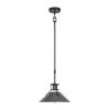 New 🧨 Patriot Lighting® Ashtyn Matte Black & Charcoal Patina 1-Light Mini Pendant 💯 -Patriot Lighting Sales 3518783 Master