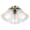 Coupon 👏 Patriot Lighting® Cluster 3-Light Antique Brass LED Ceiling Fan Light ✔️ -Patriot Lighting Sales 355 3110 P