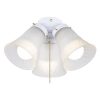 Best deal 🤩 Patriot Lighting® Cluster 3-Light White LED Ceiling Fan Light ✔️ -Patriot Lighting Sales 355 3111 P