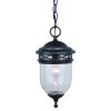 Deals 🌟 Patriot Lighting Elegant Home Patriot Lighting® Elegant Home Oaklynn Forged Sienna Outdoor Pendant Light 🛒 -Patriot Lighting Sales 356 3835 P