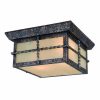 Top 10 👍 Patriot Lighting® Dayton Iron Patina 2-Light Outdoor Flush Mount Ceiling Light 🧨