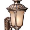 Top 10 🎉 Patriot Lighting® Windsor Parisian Bronze Outdoor Wall Light 😀 -Patriot Lighting Sales 356 5342 NEW