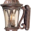 Top 10 👏 Patriot Lighting® Cambria Royal Bronze Outdoor Wall Light 😍 -Patriot Lighting Sales 356 8274 NEW