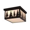 Promo 🎉 Patriot Lighting® Forest Burnished Bronze Outdoor Ceiling Light 👏 1 Promo 🎉 Patriot Lighting® Forest Burnished Bronze Outdoor Ceiling Light 👏 -Patriot Lighting Sales 356 9948 P