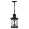 Hot Sale 🛒 Patriot Lighting® Sterling 14-1/4" Forged Bronze Outdoor Pendant Light 🥰 -Patriot Lighting Sales 3564825 Master