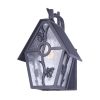 Promo 😀 Patriot Lighting® Birdhouse Black Outdoor Wall Light 😉