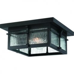 Budget 💯 Patriot Lighting® Wren Matte Black 2-Light Outdoor Flush Mount Ceiling Light 😍