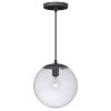 Buy 🛒 Patriot Lighting® 630 Series Black Iron Pendant 👏 -Patriot Lighting Sales P0163