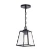 New 😉 Patriot Lighting® Grant Black 1 Light Mini Pendant 😉 2 New 😉 Patriot Lighting® Grant Black 1 Light Mini Pendant 😉 -Patriot Lighting Sales P0346
