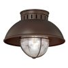 Coupon 🔔 Patriot Lighting® Harwich Burnished Bronze Outdoor Flush Mount Light 😉 -Patriot Lighting Sales T0143