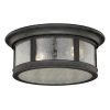 Coupon 🥰 Patriot Lighting® Hanover Brushed Iron 2-Light Outdoor Flush Mount Light ✨ -Patriot Lighting Sales T0155