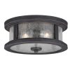 Brand new ⭐ Patriot Lighting® Cumberland Rust Iron 2-Light Outdoor Flush Mount Light 🔥 -Patriot Lighting Sales T0290