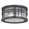 Brand new 🔔 Patriot Lighting® Wrightwood Vintage Black 2-Light Outdoor Flush Mount Light ⌛ -Patriot Lighting Sales T0361