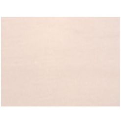 Brand new 🤩 Patriot Lighting® White Panel Replacement Glass ⌛