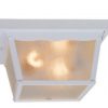 Promo 🎁 Patriot Lighting® McCormick White 2-Light Flush Mount Outdoor Ceiling Light 😉 -Patriot Lighting Sales vx oc1012w