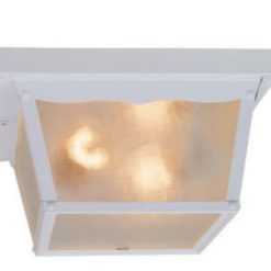 Promo 🎁 Patriot Lighting® McCormick White 2-Light Flush Mount Outdoor Ceiling Light 😉