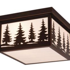Best reviews of 🌟 Patriot Lighting® Forest Burnished Bronze Outdoor Ceiling Light 🔥